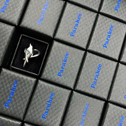 ピカピカ文鳥のくちばしイヤカフSV925【PioParakee】Java sparrow's beak ear cuff 6枚目の画像