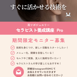 耳ツボジュエリーセラピスト養成講座 Pro | 耳ツボジュエリー