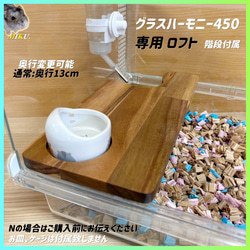 ハムスター グラスハーモニー450 カジカジ カミカミ防止ロフト 階段