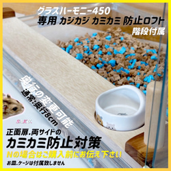 ハムスター グラスハーモニー450 カジカジ カミカミ防止ロフト 階段