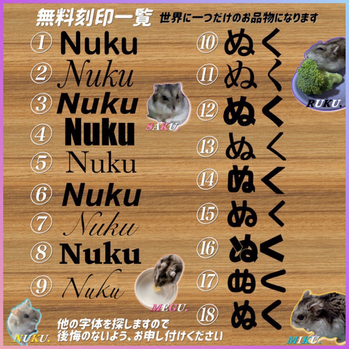 ハムスター グラスハーモニー450 カジカジ カミカミ防止ロフト 階段