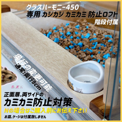 ハムスター ルーミィ60専用ロフト 階段付属 ハウス・小屋 【すもあに