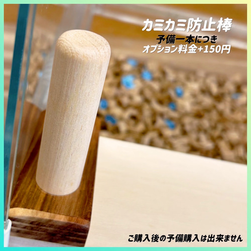 ハムスター グラスハーモニー450 カジカジ カミカミ防止ロフト 階段