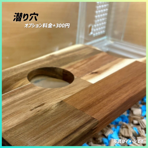 ハムスター グラスハーモニー600専用ロフト 階段付属 ハウス・小屋