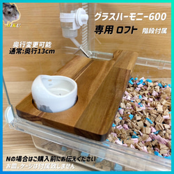 ハムスター グラスハーモニー450 カジカジ カミカミ防止ロフト 階段
