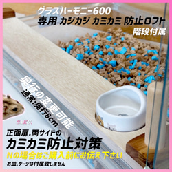 ハムスター グラスハーモニー600 カジカジ カミカミ防止ロフト 階段