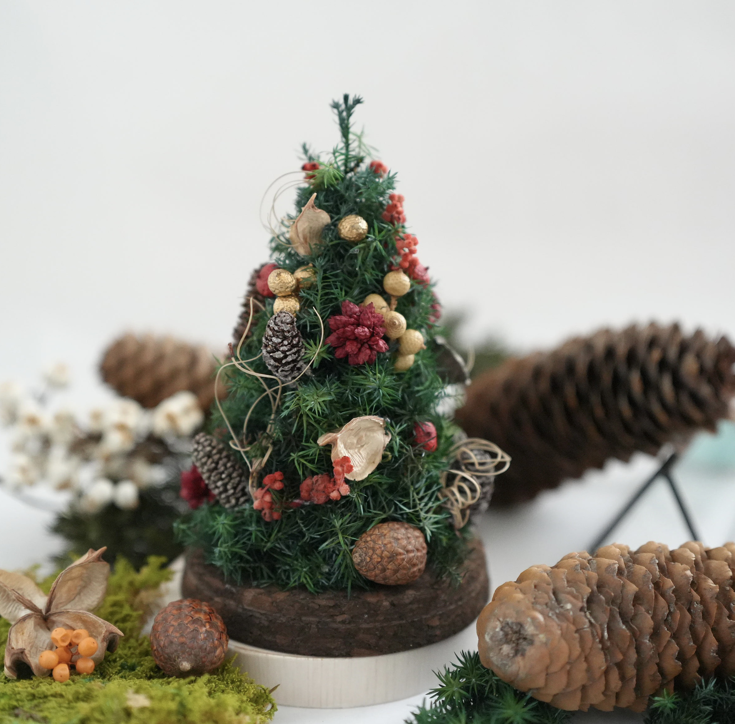 静かな森の香りを感じるクリスマスツリー