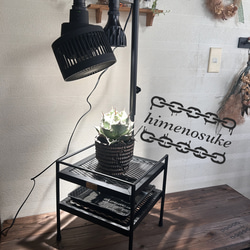 ☆送料込み☆アガベ台座 即購入OK 男前 塊根 植物台座 多肉植物