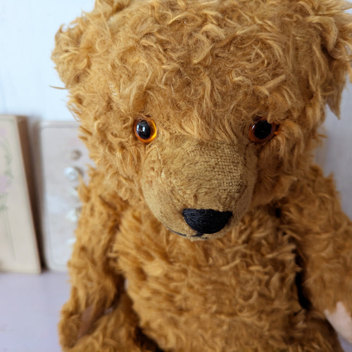 ドイツ 1910-1940年 くまのぬいぐるみ ぬいぐるみ Mon Atelier COUTURE