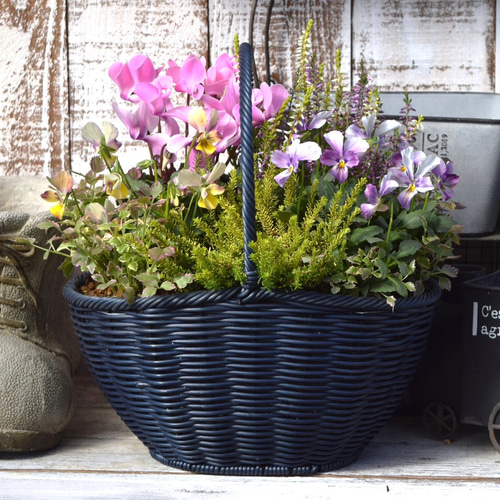 ROKA HEARTS」！心ときめく寄せ植え※寄せ植えセット 花苗 花