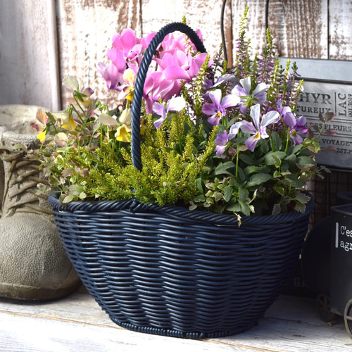 ROKA HEARTS」！心ときめく寄せ植え※寄せ植えセット 花苗 花