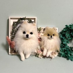 羊毛フェルト　にこにこポメラニアン 羊毛フェルト にこにこポメラニアン