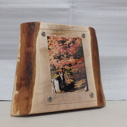 天然木花台・飾り台 KD-19 エンジュ斜め輪切り その他インテリア雑貨