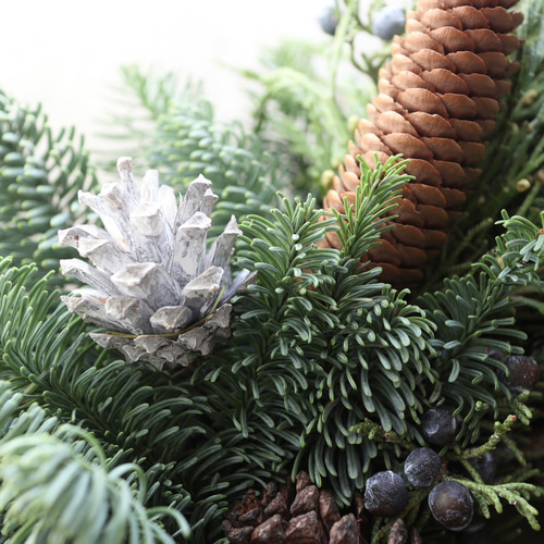 オレゴン産のフレッシュクリスマスリース 本場のモミの木 30センチ