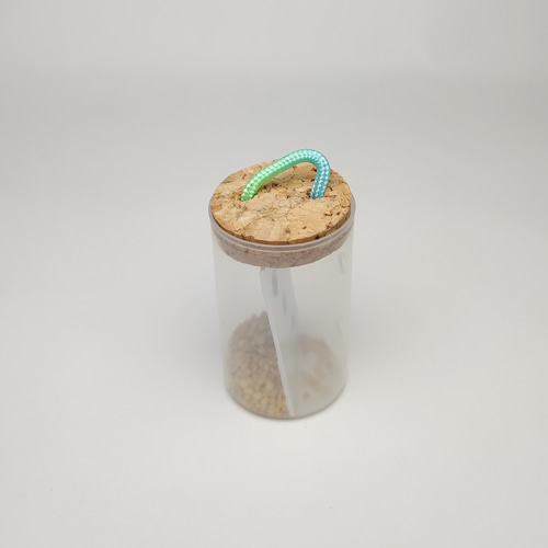 鳥用おもちゃ「智恵光院」| コロコロフォージングカプセル おもちゃ