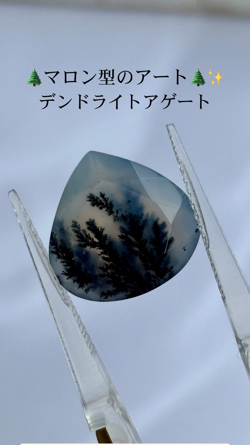 デンドリティックアゲート|デンドライト ファセットカット 52 天然石 天然色