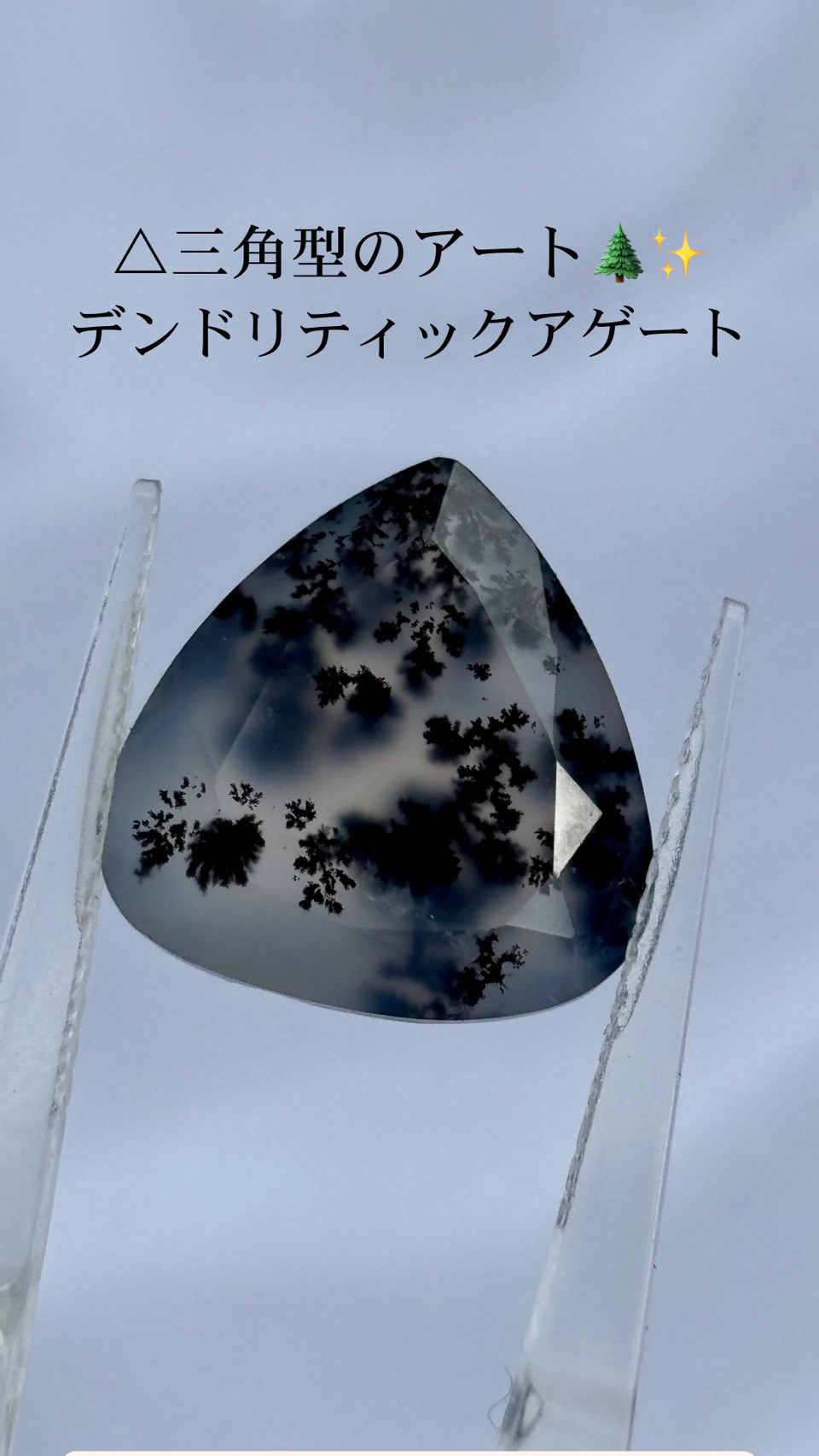 デンドリティックアゲート|デンドライト ファセットカット 53 天然石 天然色