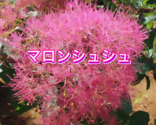 4f4cbf5a2995033d15ce8d0b1a2680