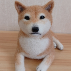 羊毛フェルト 犬 シベリアンハスキー 羊毛フェルト masapan 通販