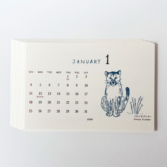 2026絶滅危惧種カレンダー 卓上タイプ オプションで台座付きに変更可