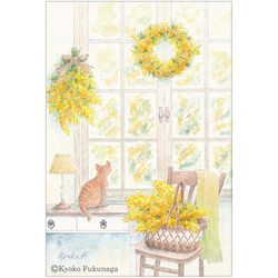 ポストカード　お好きな4枚セット〔No.52 窓辺のミモザ〕 3枚目の画像