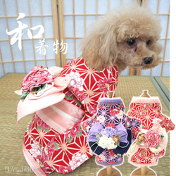 犬の着物✨犬用本格振袖着物&お被布セット 洗える着物 化繊 七五三