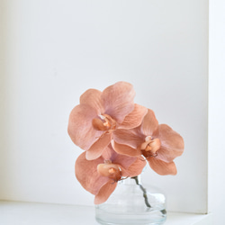 タニクグリーンアップル！？ 青りんごと多肉植物 フェイクグリーン