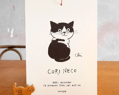 【ブラッキー】可愛い猫（予約） ブラッキー】可愛い猫（予約） Flying Girl Black Cat: Rare cat