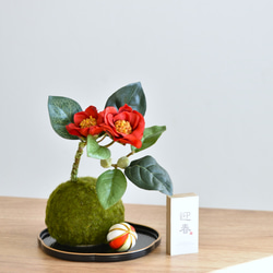 タニクグリーンアップル！？ 青りんごと多肉植物 フェイクグリーン