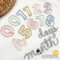 セット販売　月齢フォト　マンスリーフォト　ウールレター 4枚目の画像