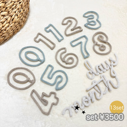 セット販売　月齢フォト　マンスリーフォト　ウールレター 8枚目の画像