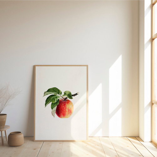 りんご アンティーク アートポスター 植物画 果物 イラスト 北欧
