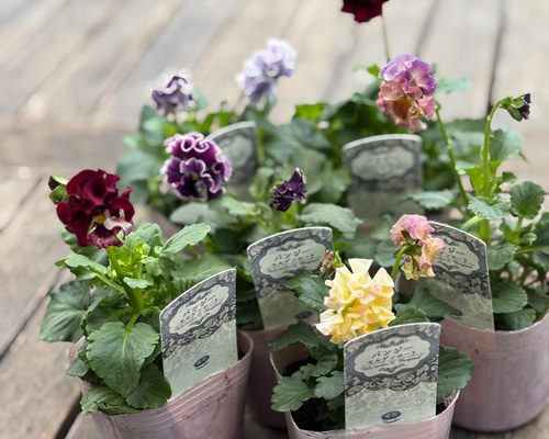 399f4e125f0889cad9ac188ed2ff6b