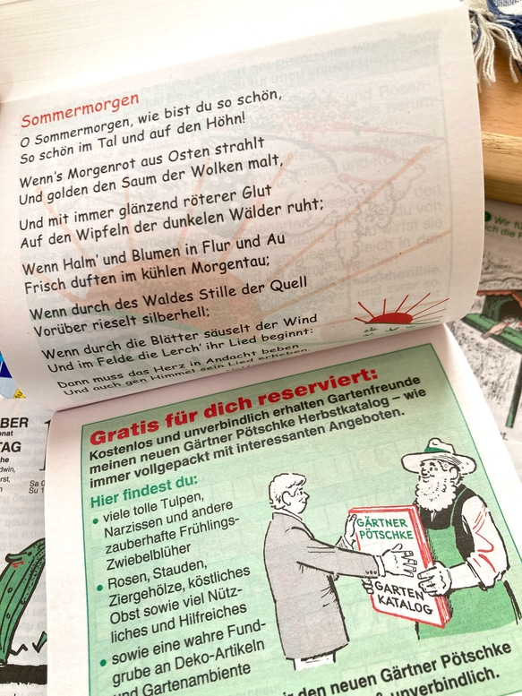 【ドイツ 日めくりカレンダー2026】30枚 /お試し、少量欲しい方へ/ ペチュケおじさんのガーデニング 8枚目の画像