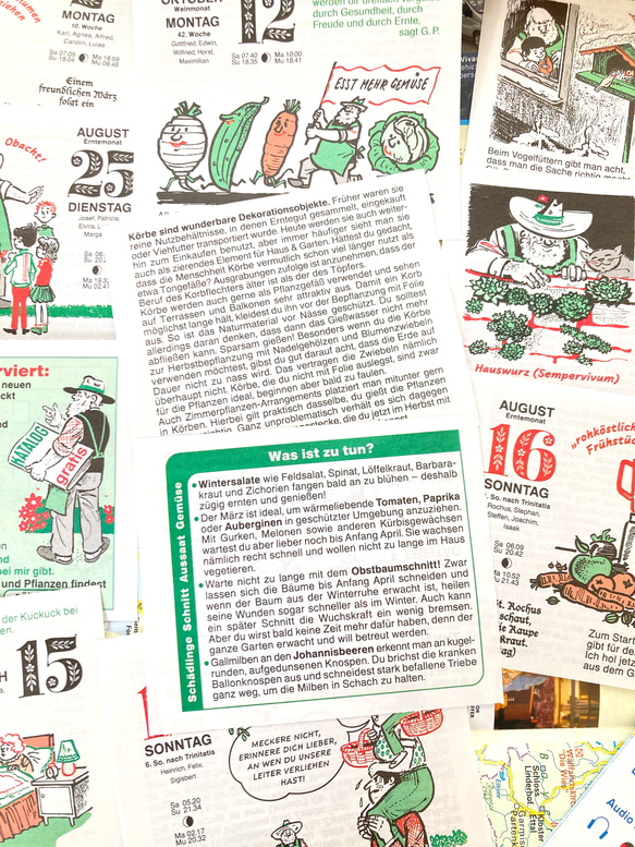 【ドイツ 日めくりカレンダー2026】30枚 /お試し、少量欲しい方へ/ ペチュケおじさんのガーデニング 2枚目の画像