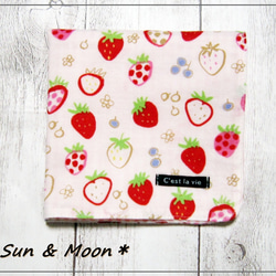 チワワ スムース 毛色6色 】タオルハンカチ ピンク＆ブルー2枚セット