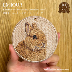 キーホルダー 刺繍 うさぎ ネザーランドドワーフ ラビット キー