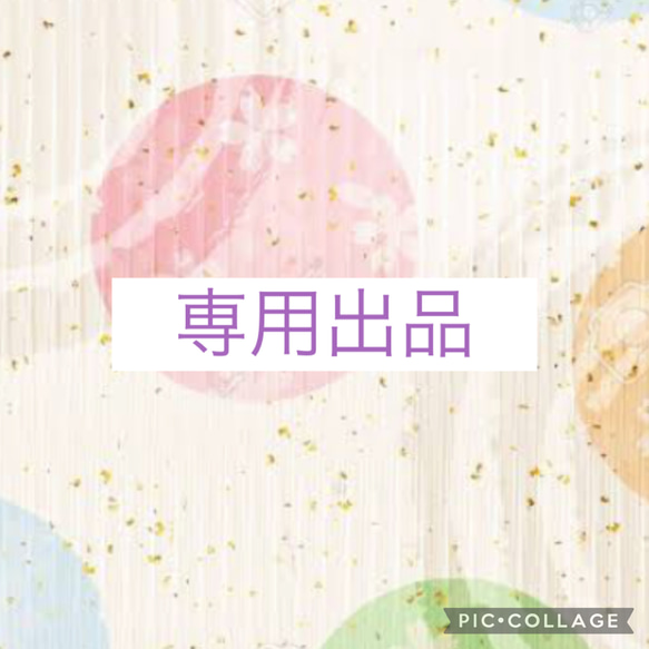 ルイ様　専用　オーダー 1枚目の画像