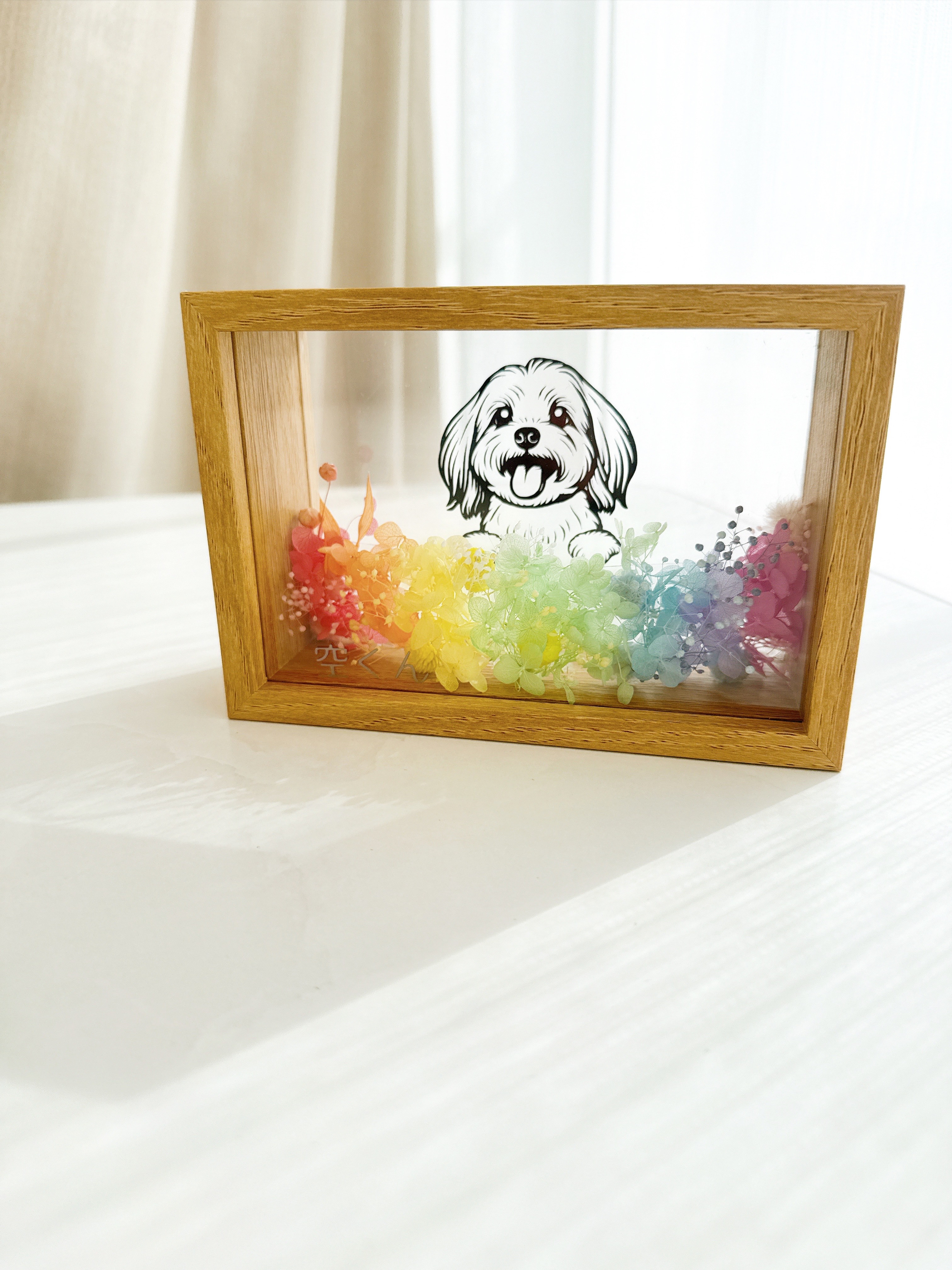 うちの子　メモリアル  犬　虹の橋　七色カラーフラワーボックス　お悔やみのお花　贈り物にも　うちの子ボックス