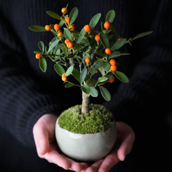 2db9ee71e7f2637fe4b91cef929000