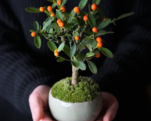 2db9ee71e7f2637fe4b91cef929000