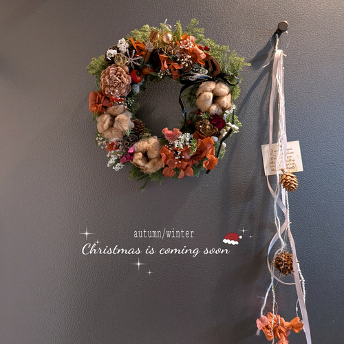 針葉樹香る*↟⍋*↟ 彩り森のリース 2025クリスマスリース ドライ