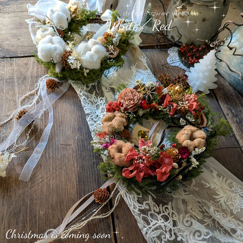 針葉樹香る*↟⍋*↟ 彩り森のリース 2025クリスマスリース ドライ