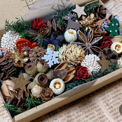 木の実のリース 松ぼっくり ヤシャブシ ドングリ リース Monet 通販