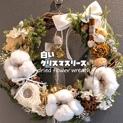 針葉樹香る*↟⍋*↟ 彩り森のリース 2025クリスマスリース ドライ