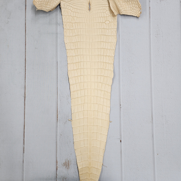 ワ二革　クロコ　植物タンニン鞣し　ナチュラル（タラ）　No.C009069 6枚目の画像