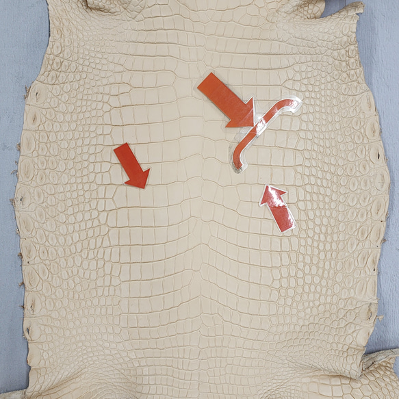 ワ二革　クロコ　植物タンニン鞣し　ナチュラル（タラ）　No.C009069 11枚目の画像