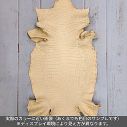 ワ二革　クロコ　植物タンニン鞣し　ナチュラル（タラ）　No.C009069 3枚目の画像