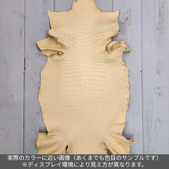 ワ二革　クロコ　植物タンニン鞣し　ナチュラル（タラ）　No.C009069 3枚目の画像