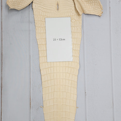 ワ二革　クロコ　植物タンニン鞣し　ナチュラル（タラ）　No.C009069 10枚目の画像